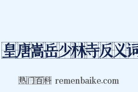 皇唐嵩岳少林寺反义词是什么意思的图片